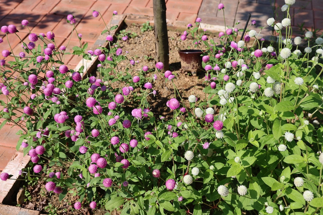 0R5A3778_новый размер.JPG