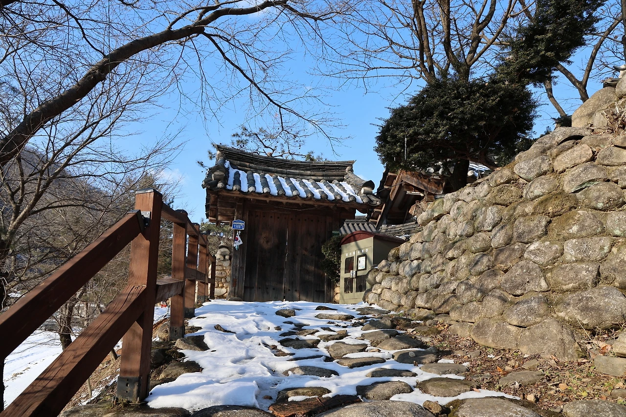 0R5A8171_новый размер.JPG