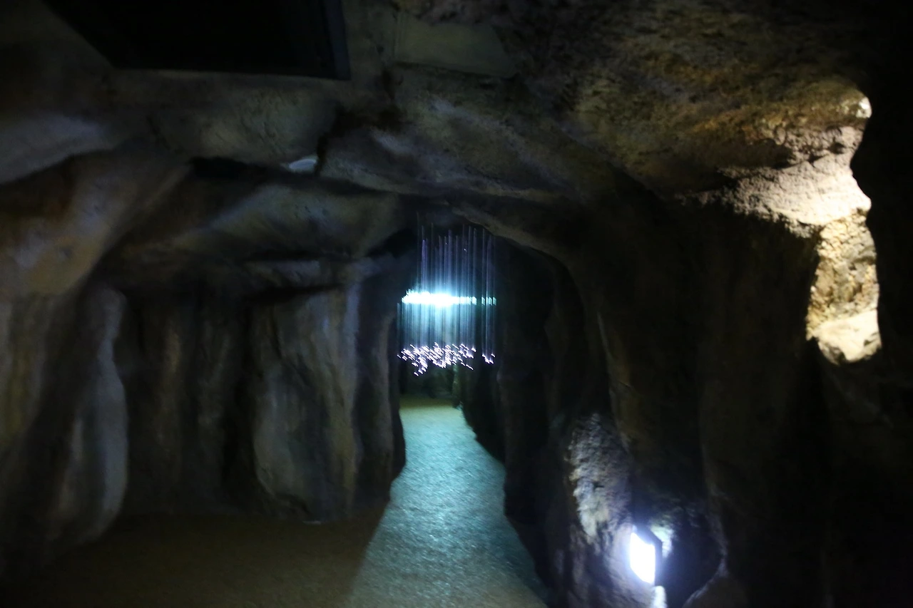 MG0A1242_новый размер.JPG