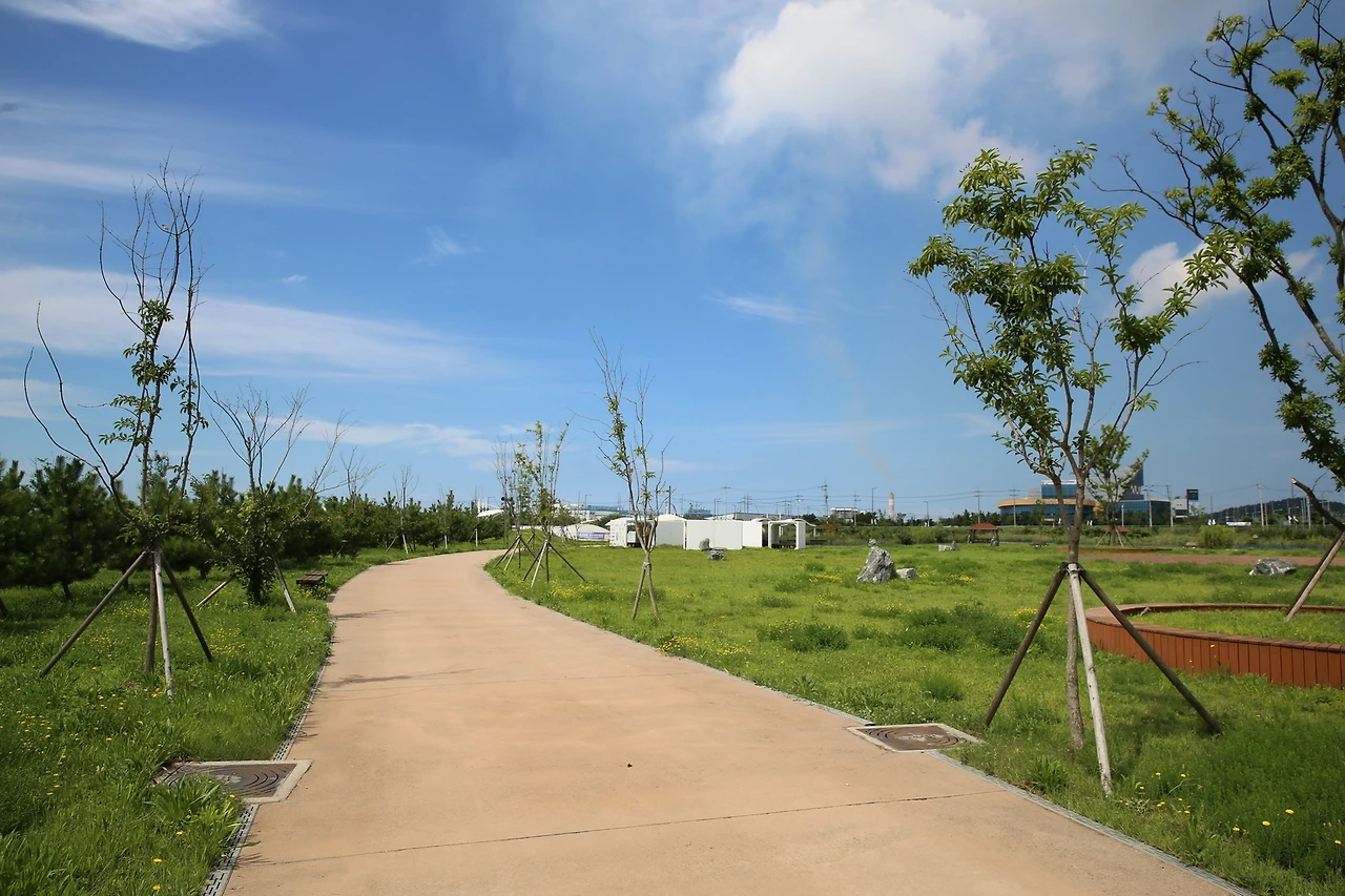 MG0A7471_новый размер.JPG