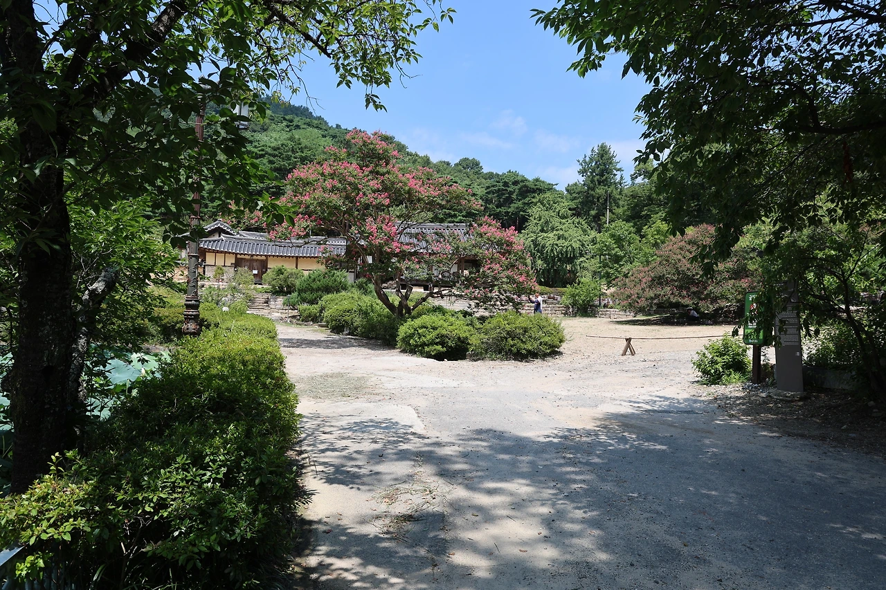 0R5A0863_новый размер.JPG