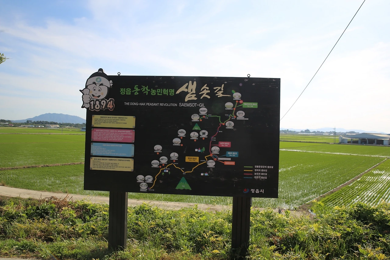 MG0A9071_новый размер.JPG