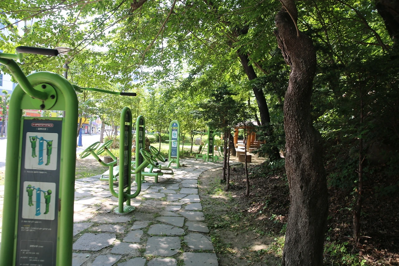 MG0A0070_новый размер.JPG