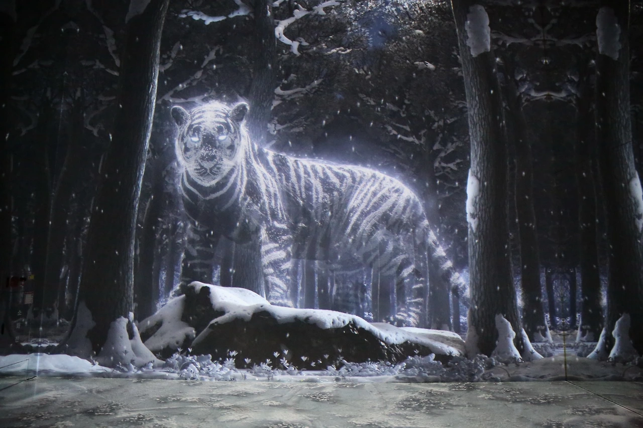 MG0A2088_новый размер.JPG