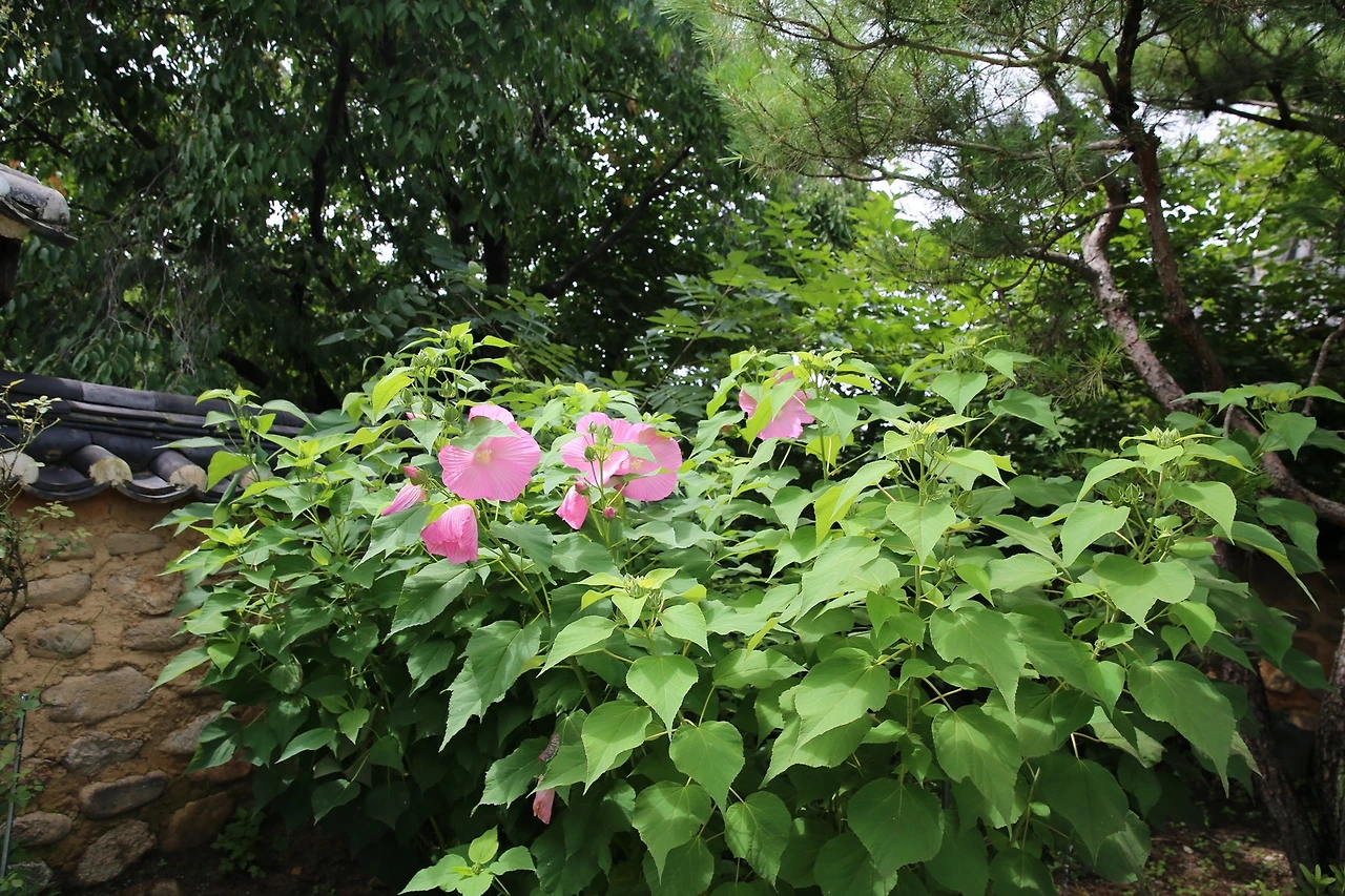 MG0A6605_новый размер.JPG