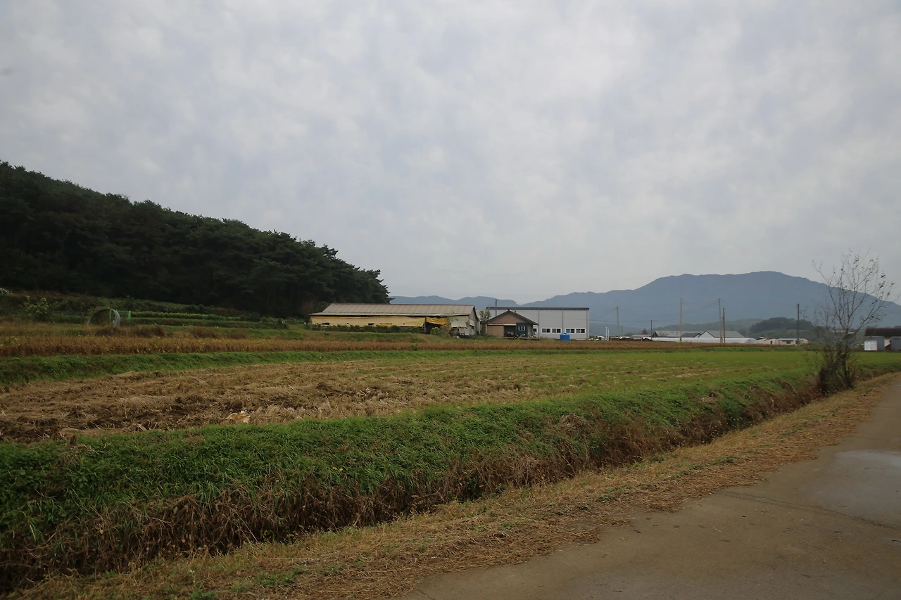 MG0A8777_новый размер.JPG