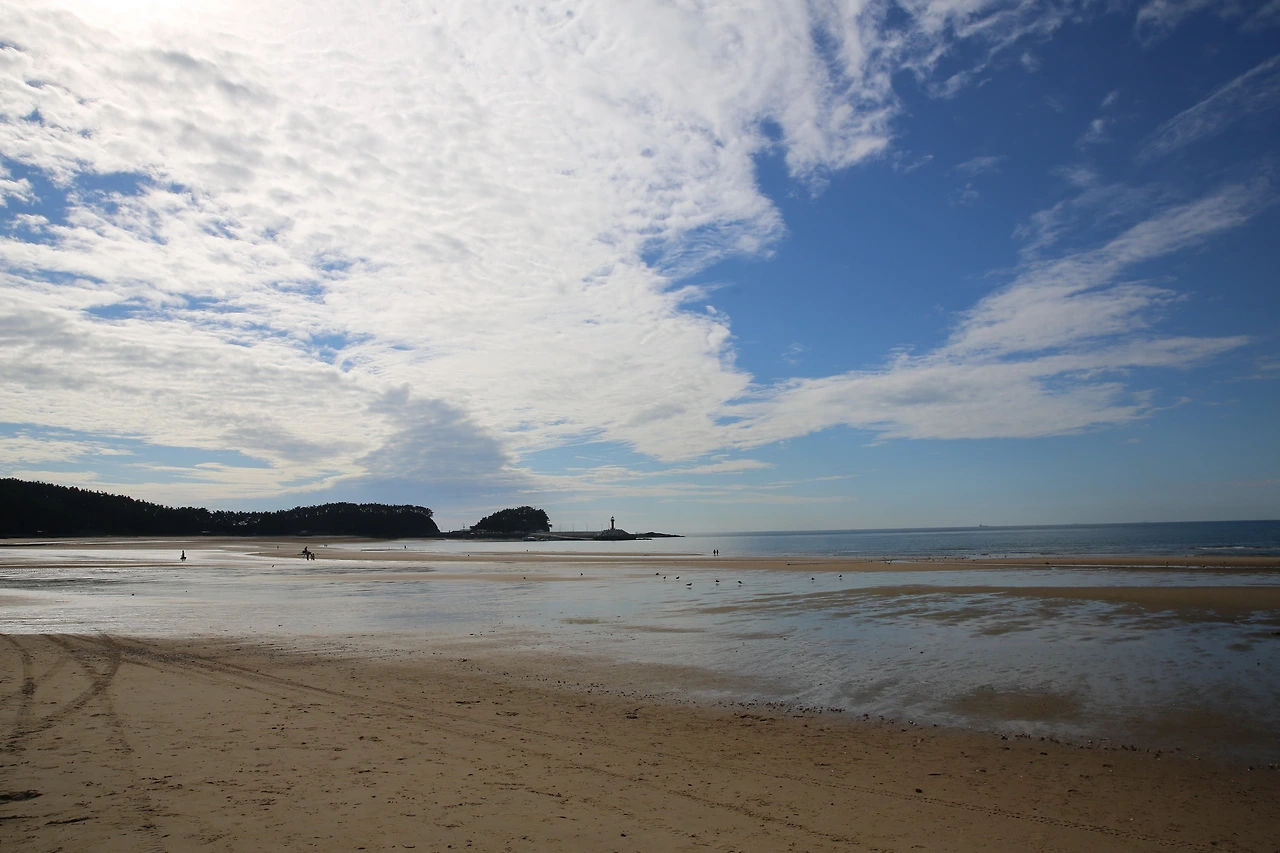 MG0A1299_новый размер.JPG