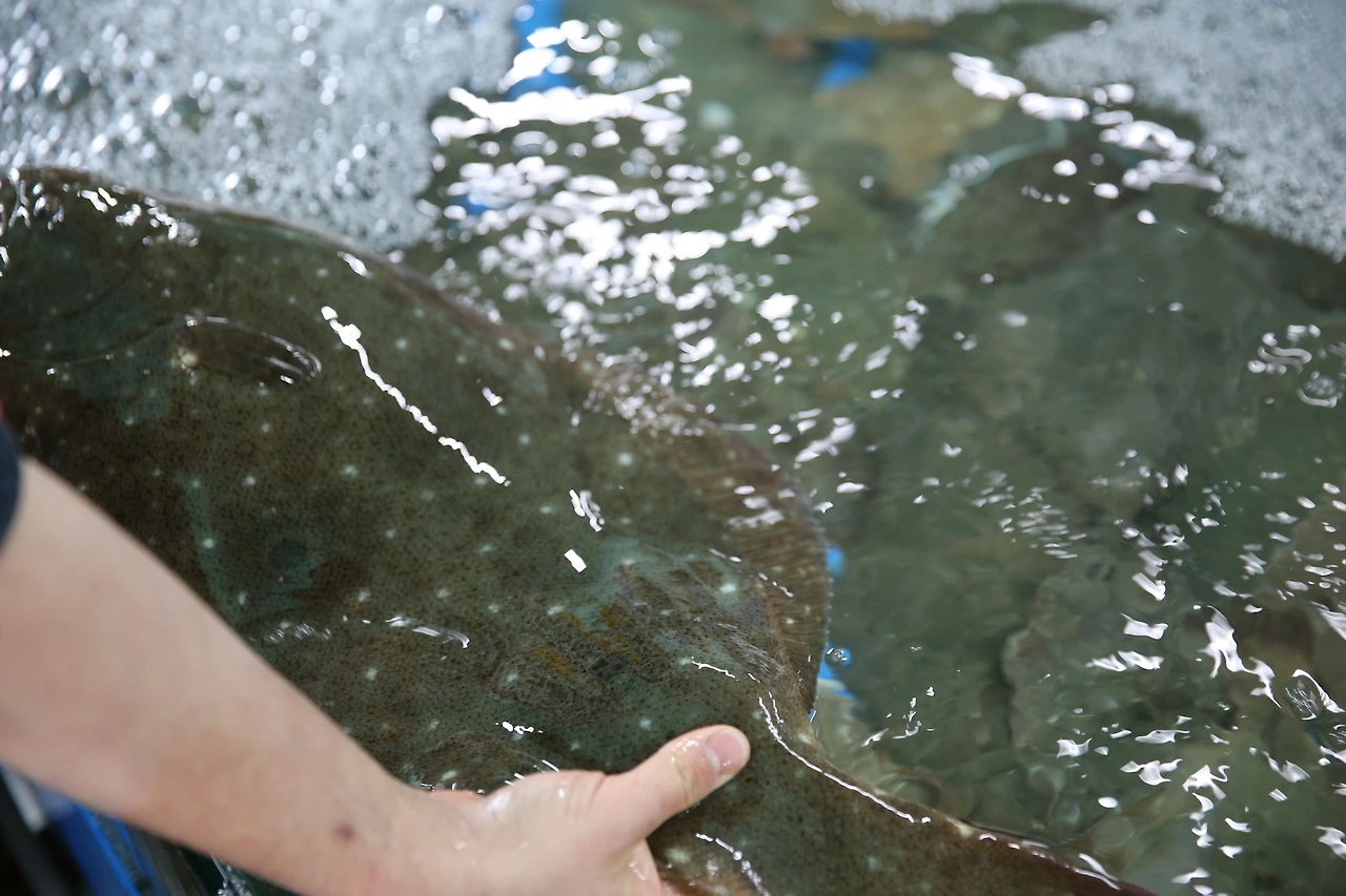 MG0A3573_новый размер.JPG