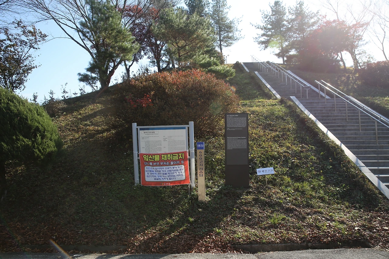 MG0A9979_новый размер.JPG