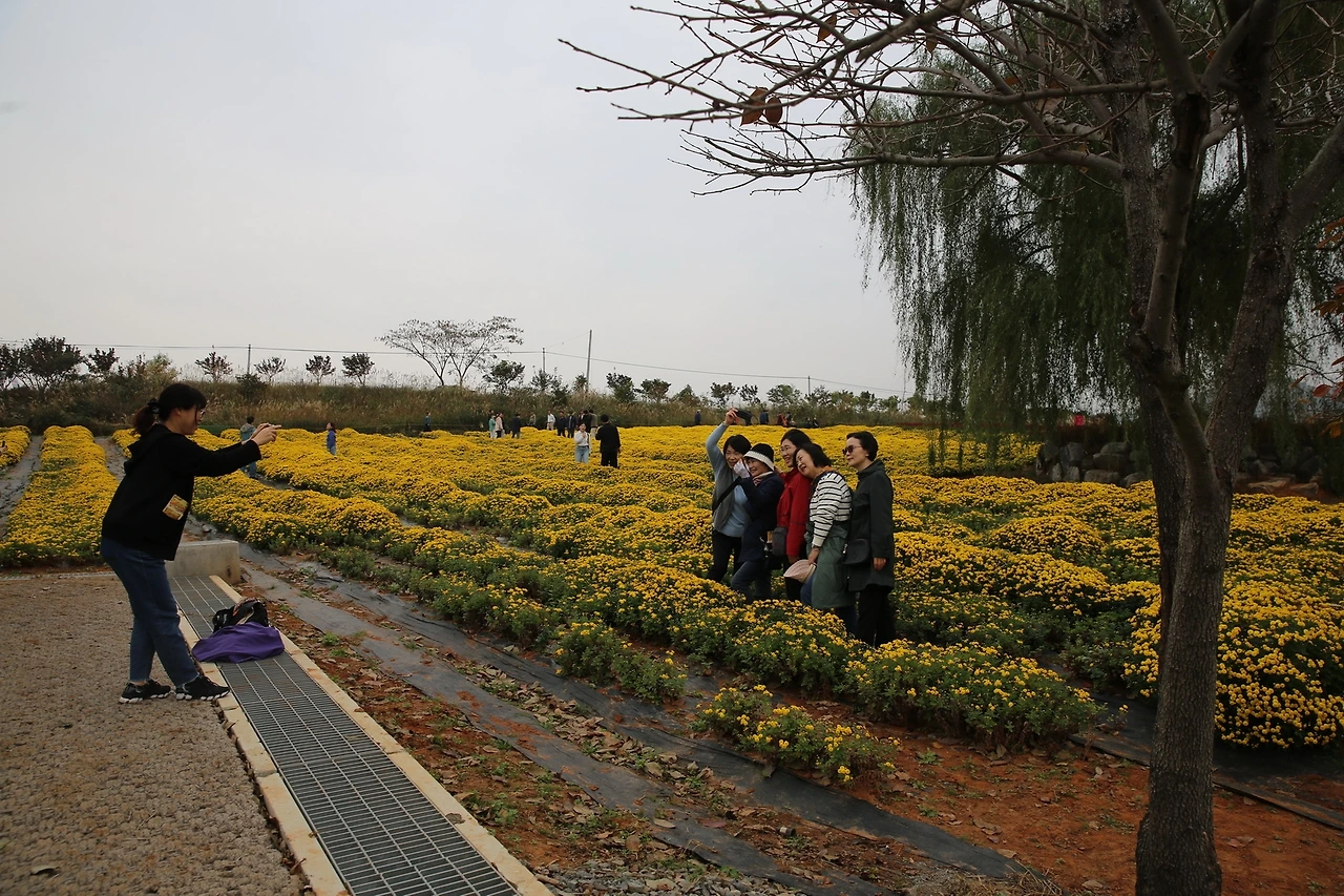 MG0A9623_новый размер.JPG