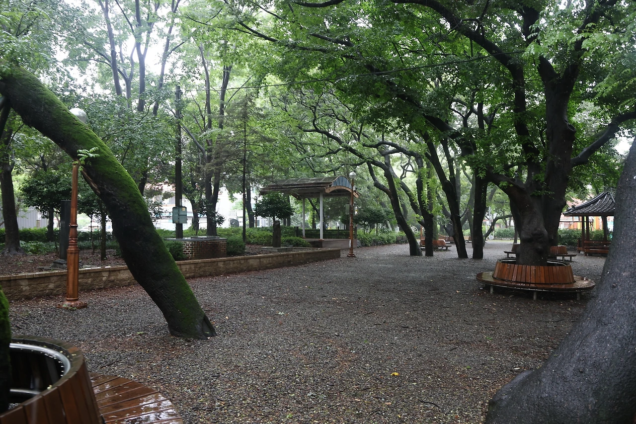 0R5A1445_новый размер.JPG