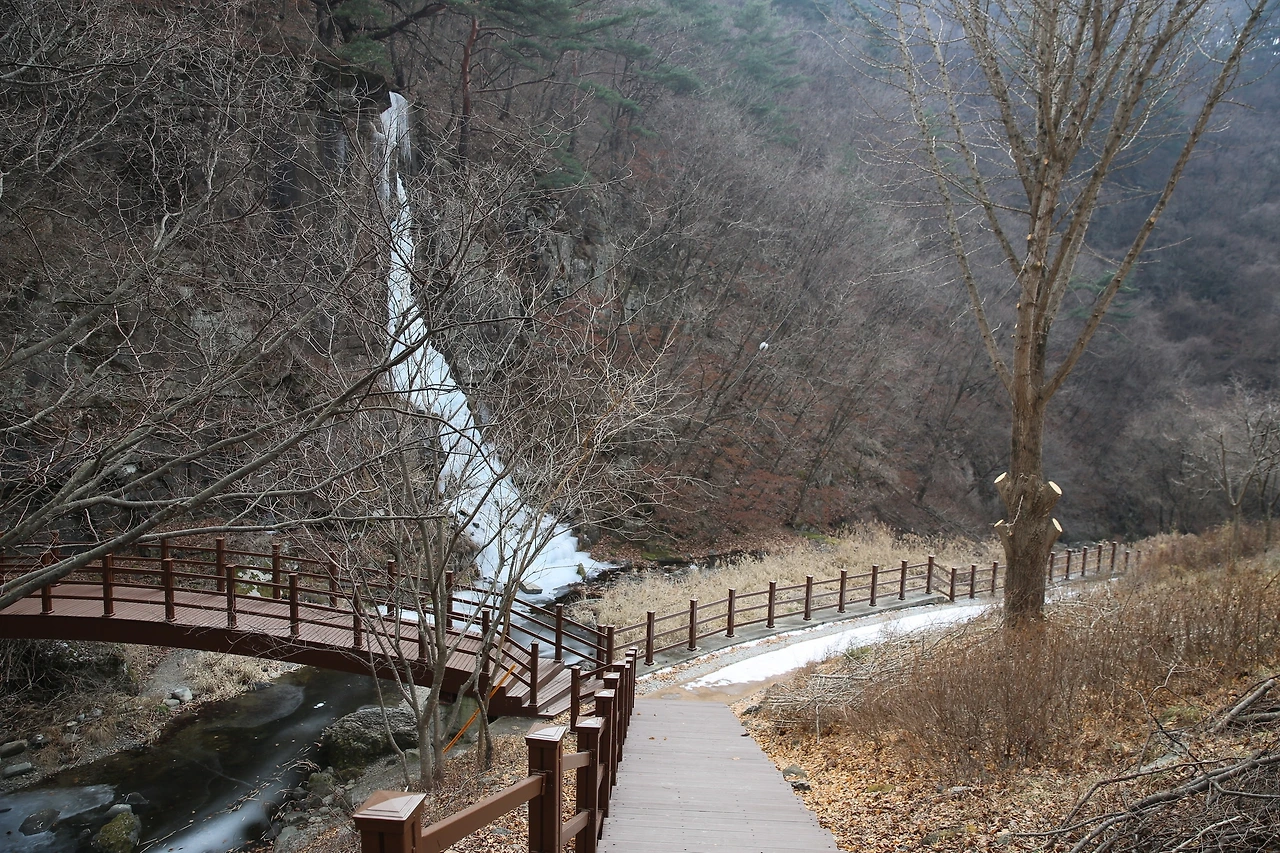 MG0A6418_новый размер.JPG