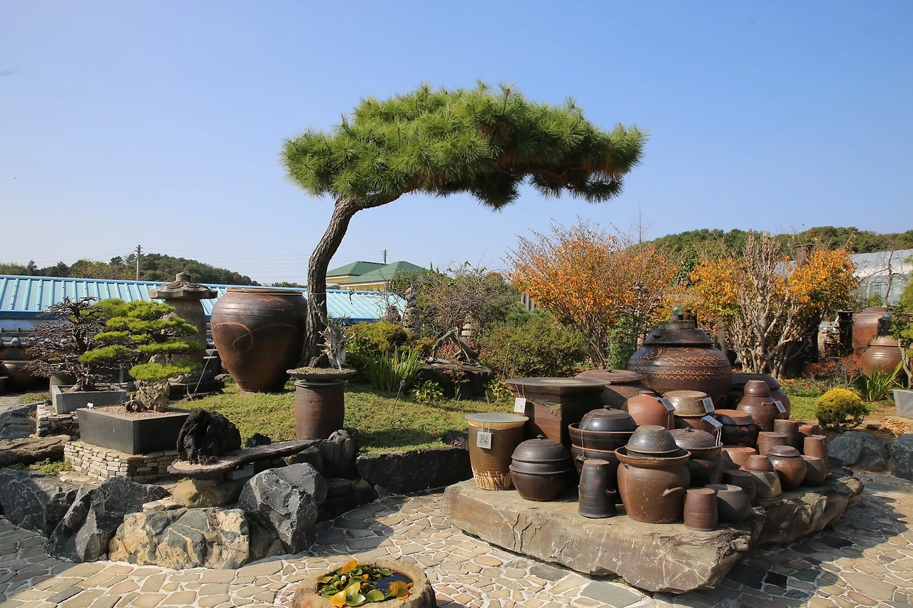 MG0A8508_новый размер.JPG