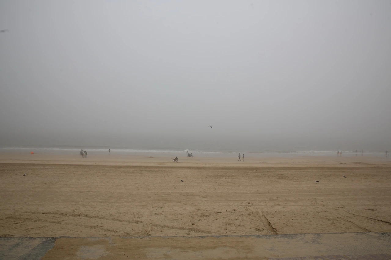 MG0A4943_новый размер.JPG