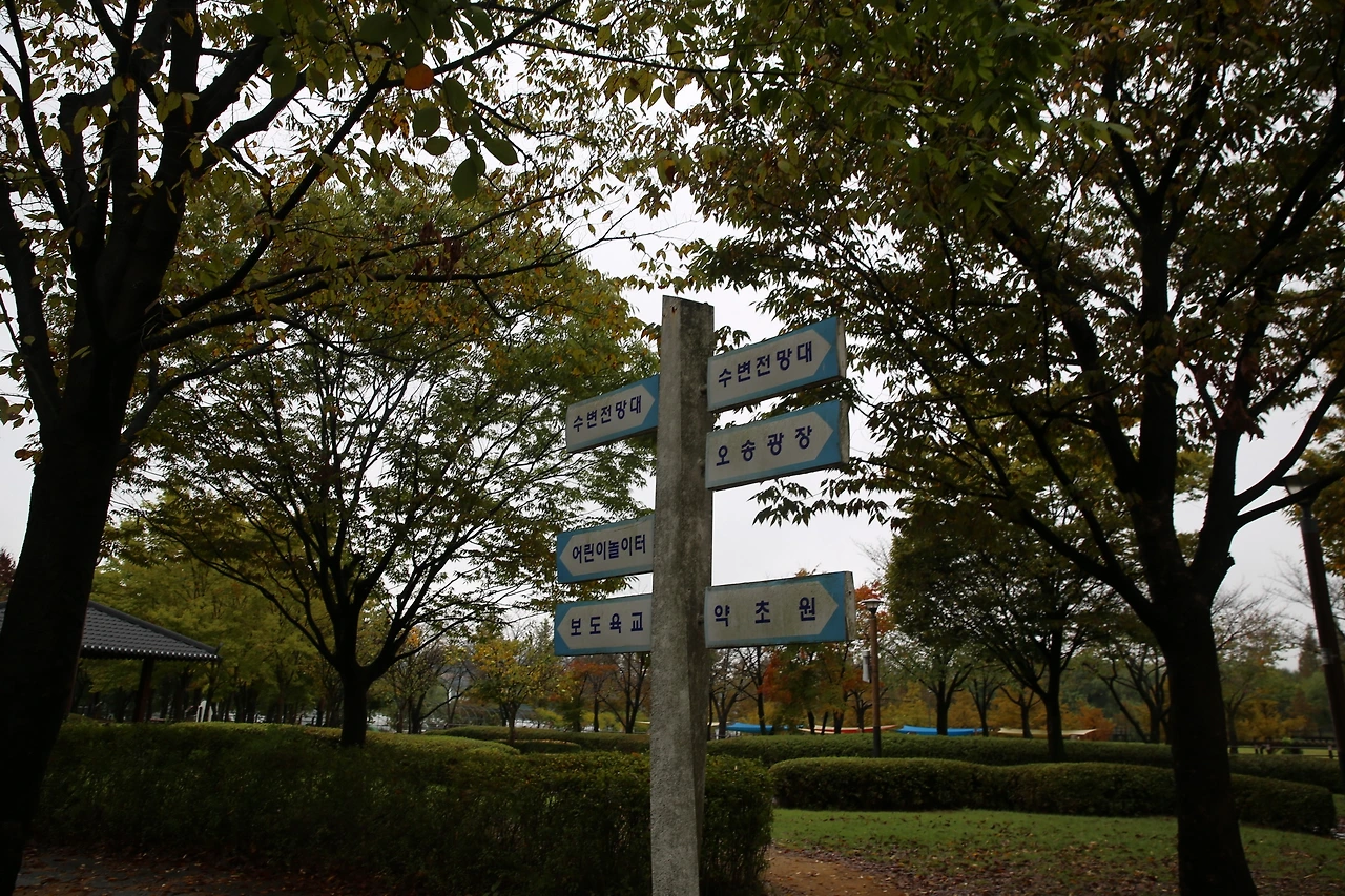 MG0A5208_новый размер.JPG