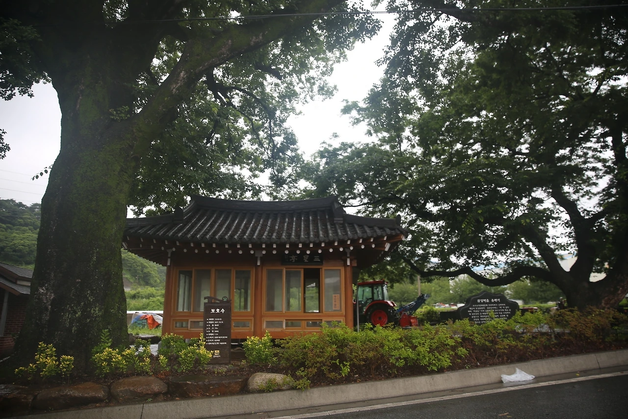 MG0A3335_новый размер.JPG