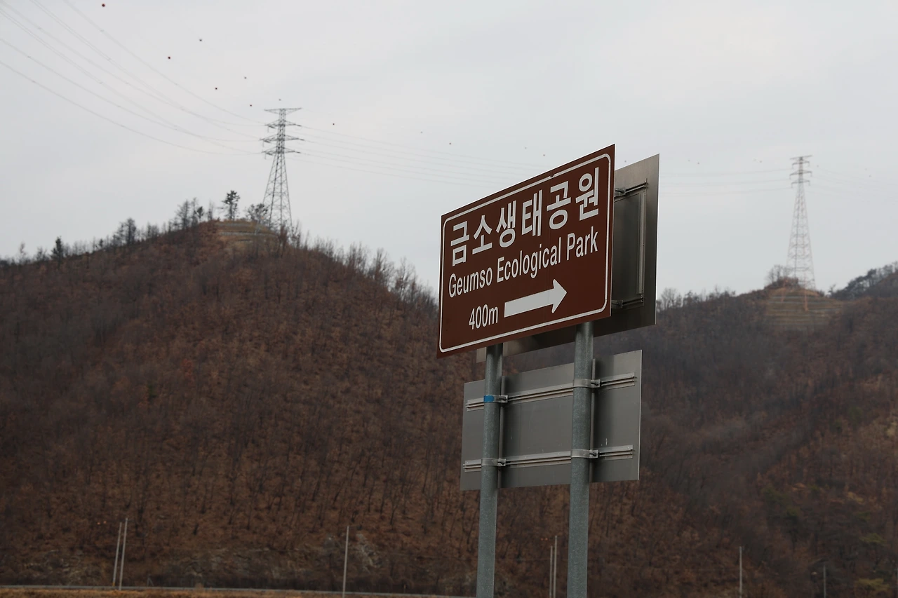 0R5A6620_новый размер.JPG