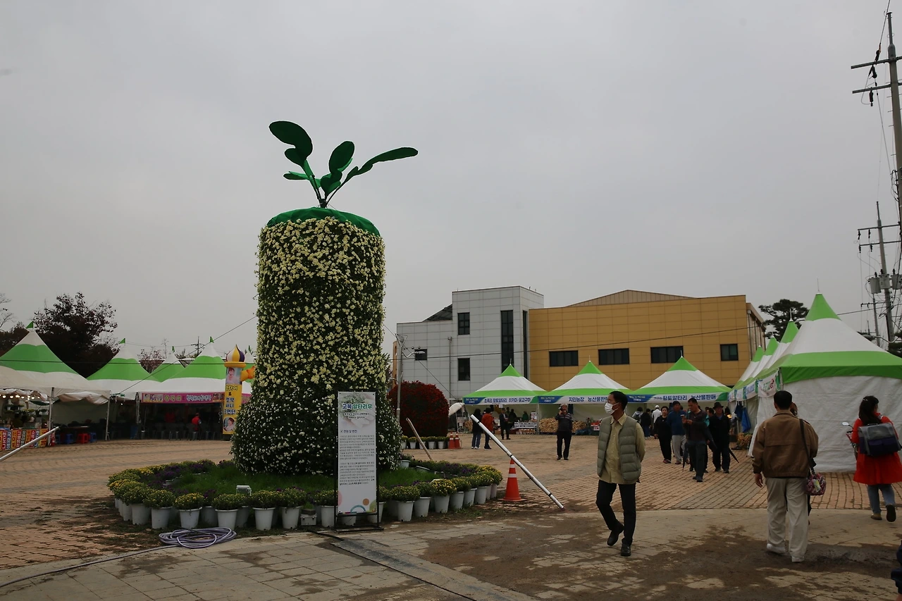 MG0A9662_новый размер.JPG