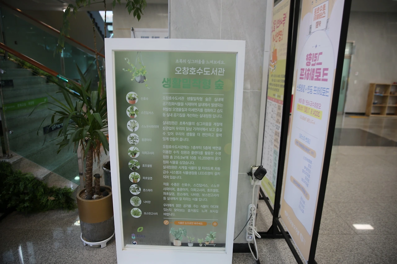 MG0A9961_новый размер.JPG