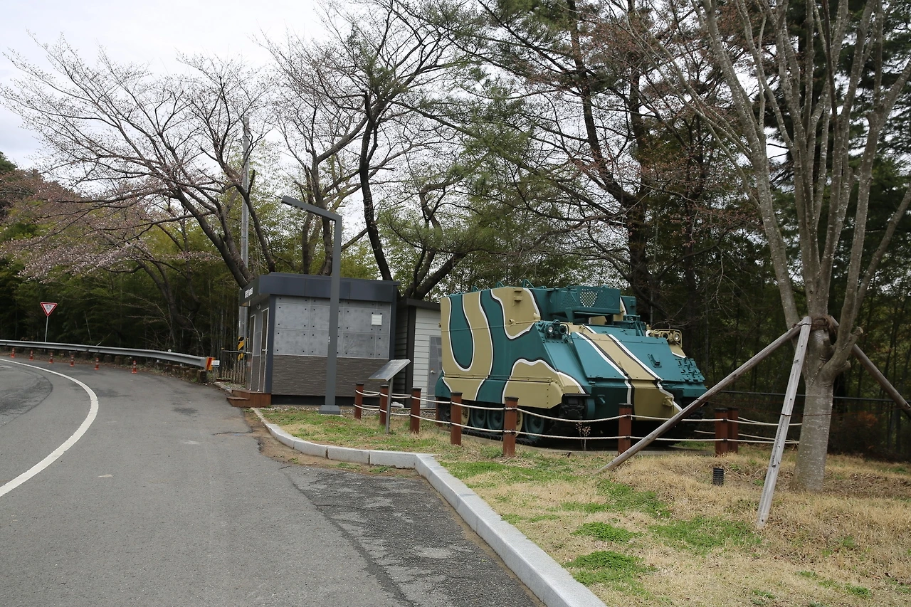 MG0A7087_новый размер.JPG