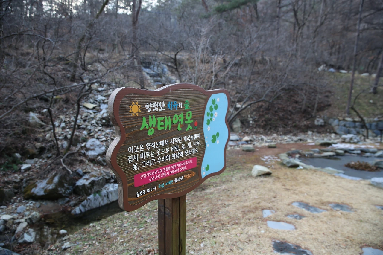 MG0A5541_новый размер.JPG