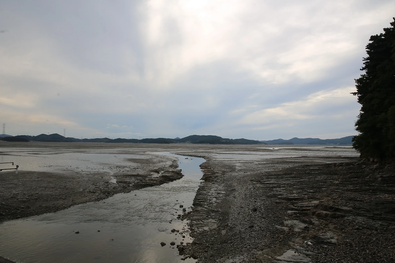 MG0A3484_новый размер.JPG