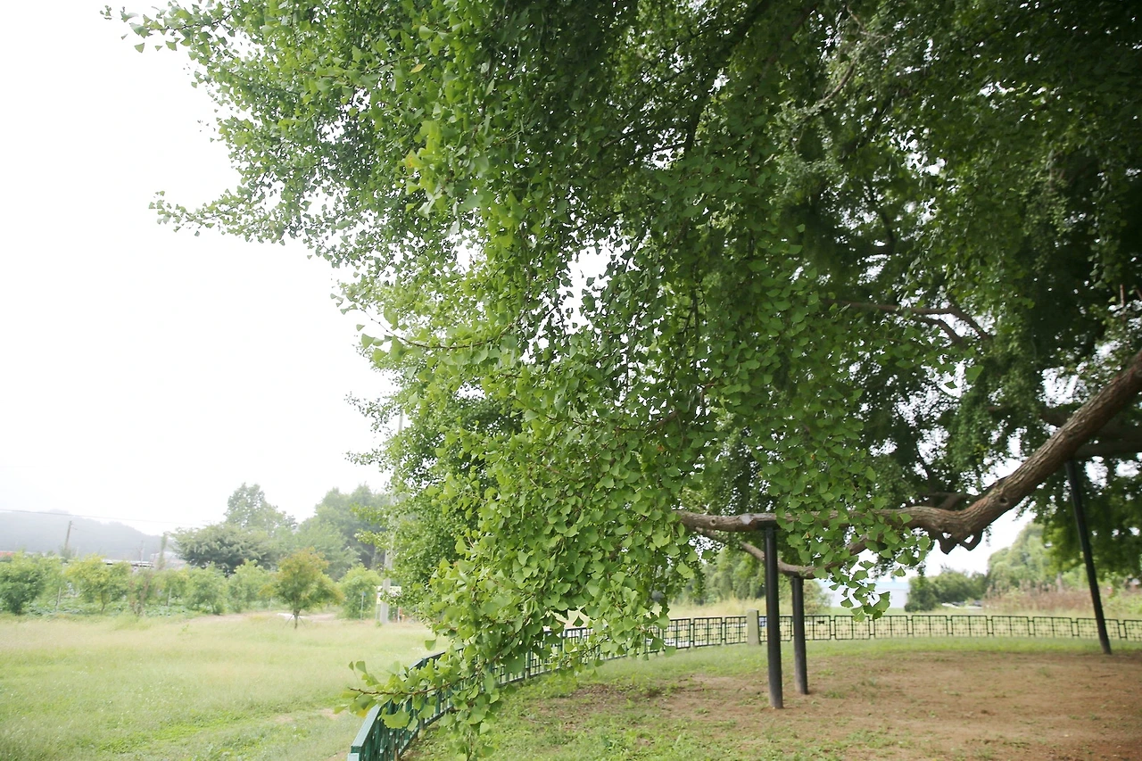 MG0A3573_новый размер_exposure.JPG