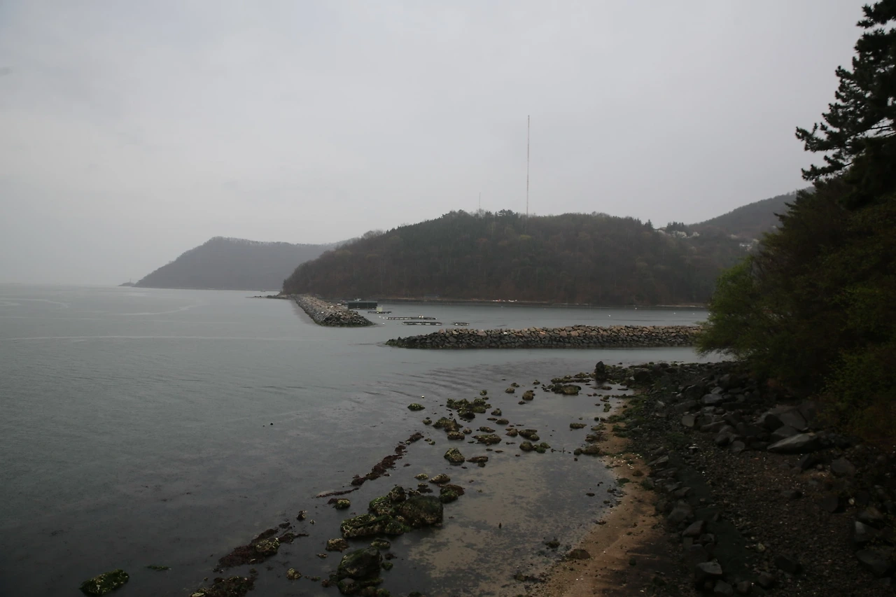 MG0A6368_новый размер.JPG