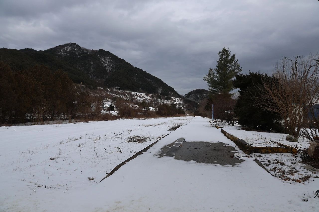 0R5A1674_новый размер.JPG