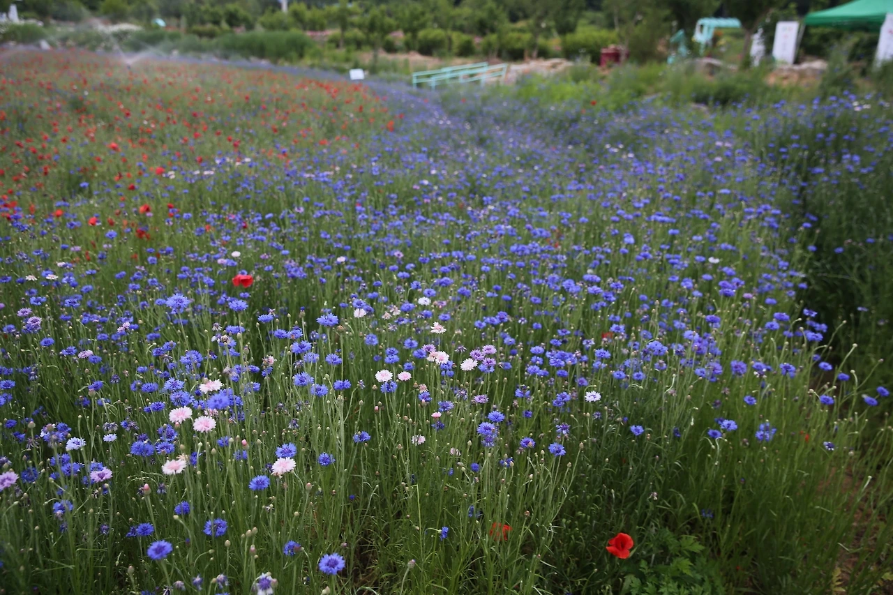 MG0A1172_новый размер.JPG