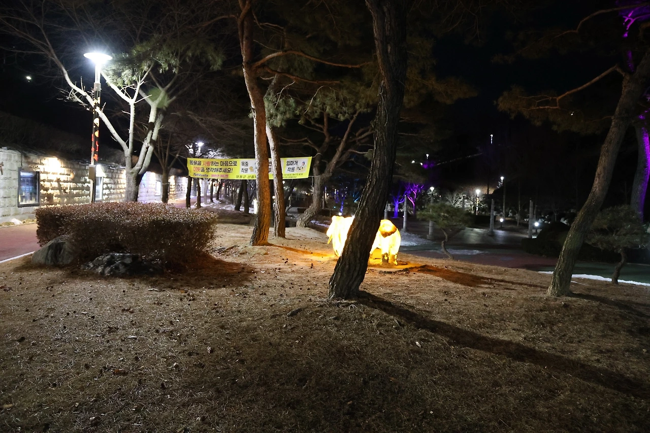 0R5A8008_новый размер.JPG