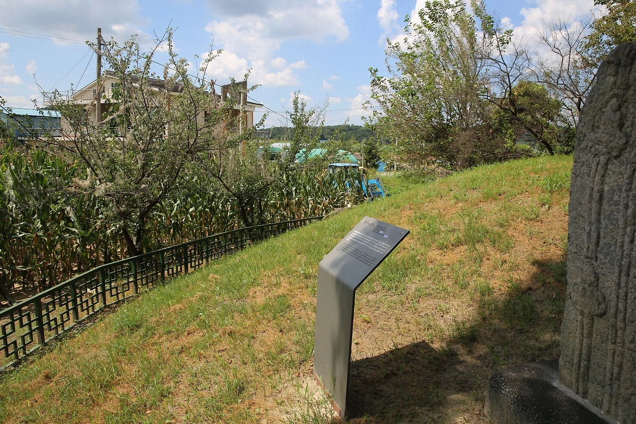 MG0A7864_новый размер.JPG