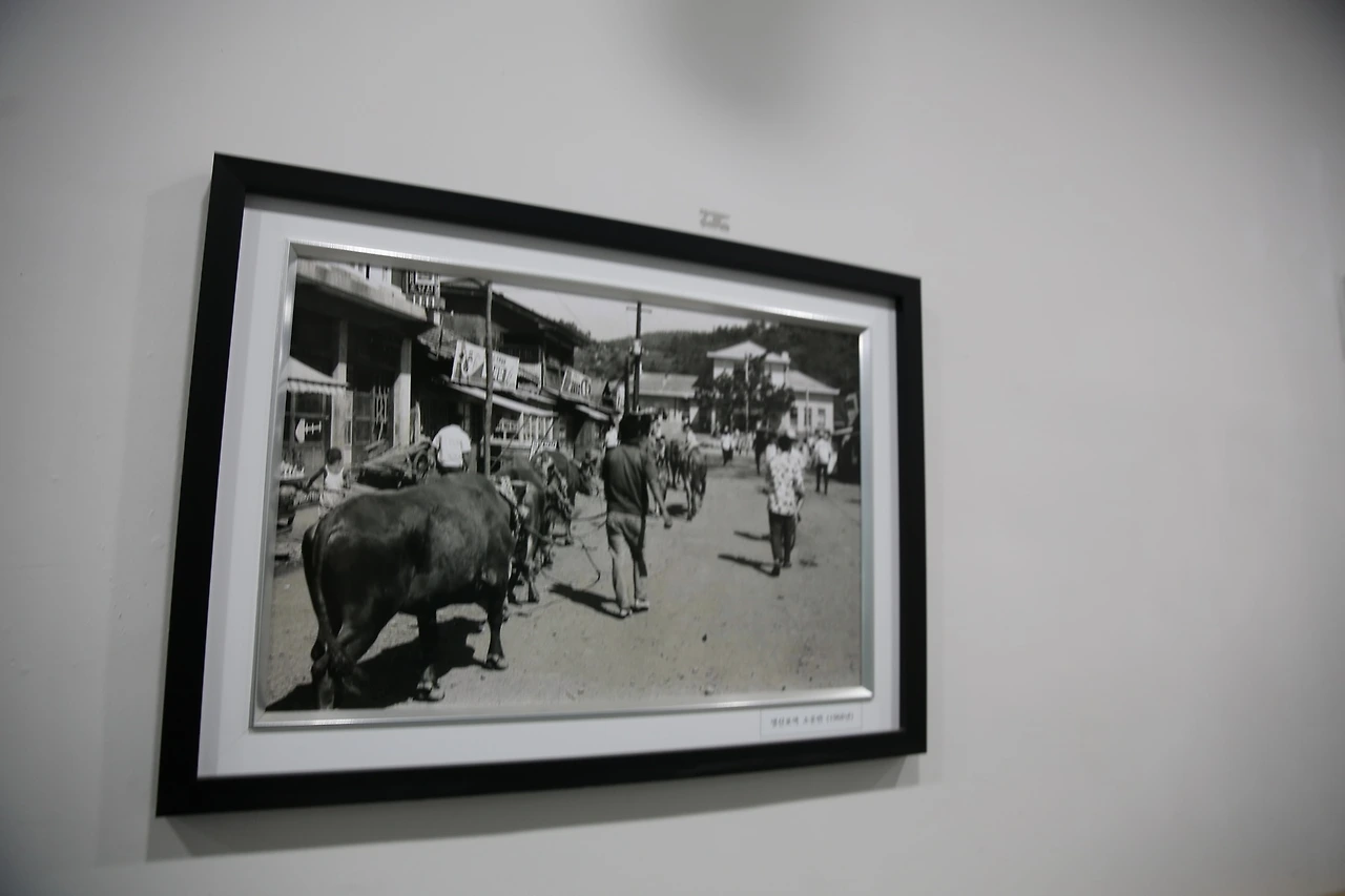 MG0A9338_новый размер.JPG