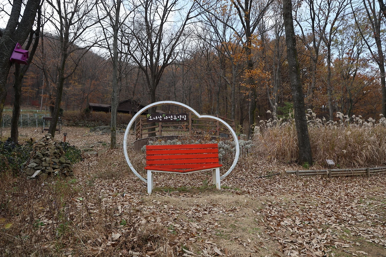 0R5A3111_новый размер.JPG