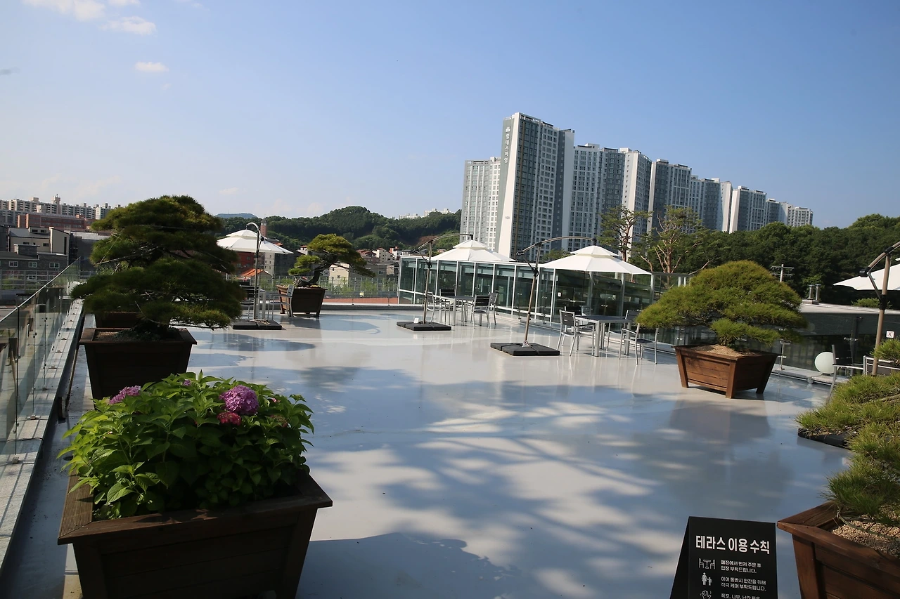 MG0A3126_новый размер.JPG