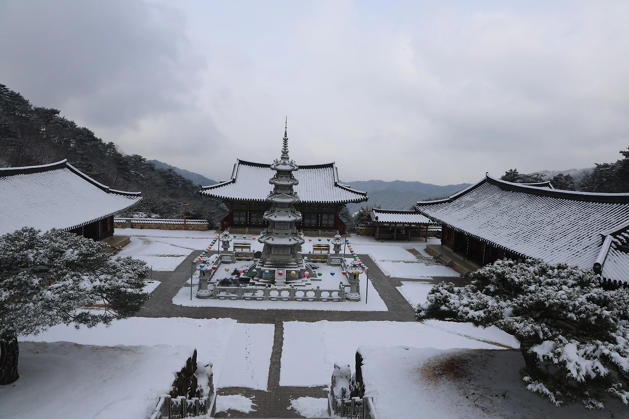 0R5A3189_новый размер.JPG