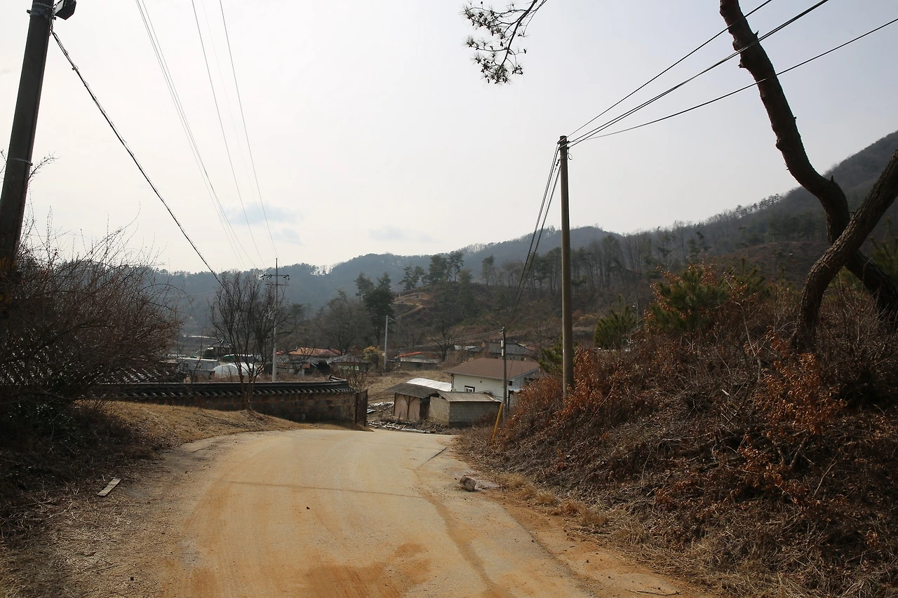 MG0A1512_новый размер.JPG