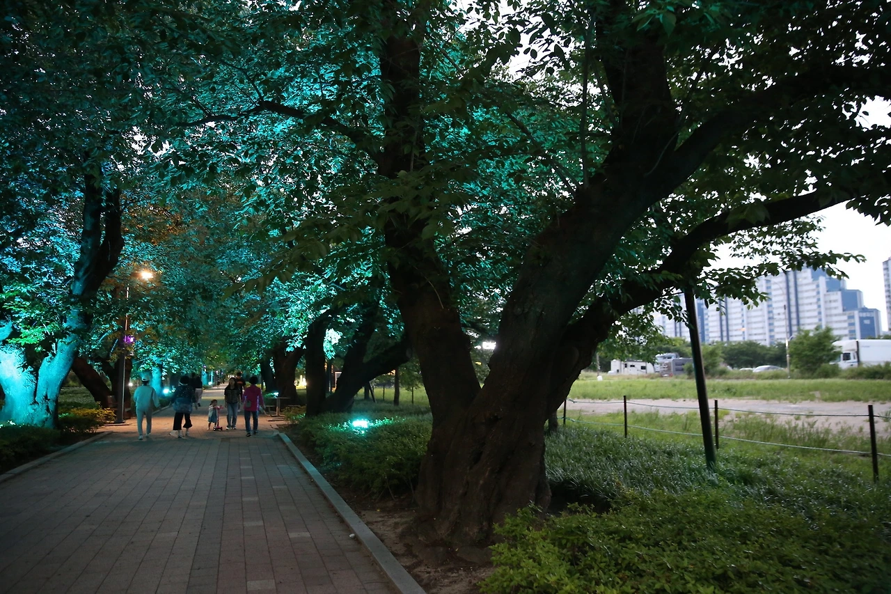 MG0A5593_новый размер.JPG