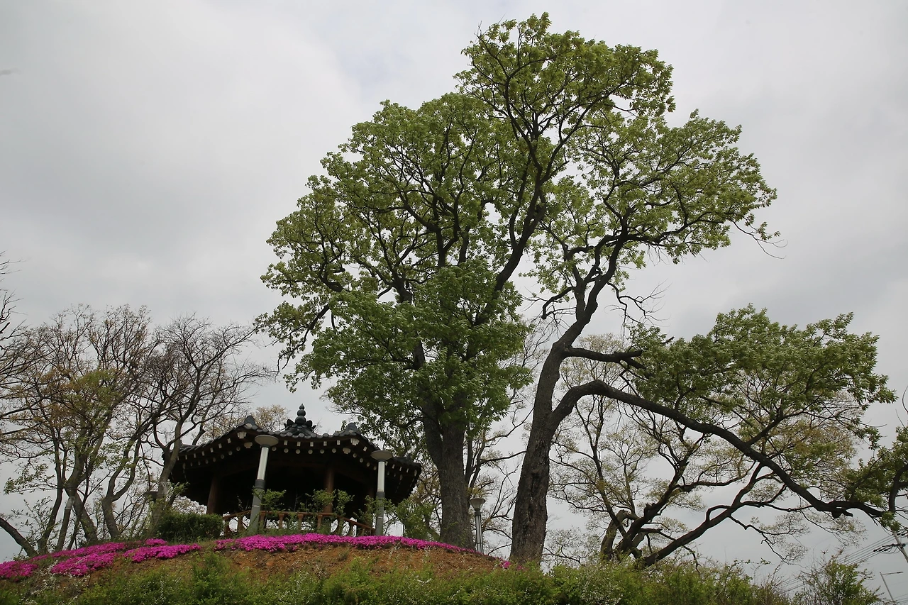 MG0A0522_новый размер.JPG