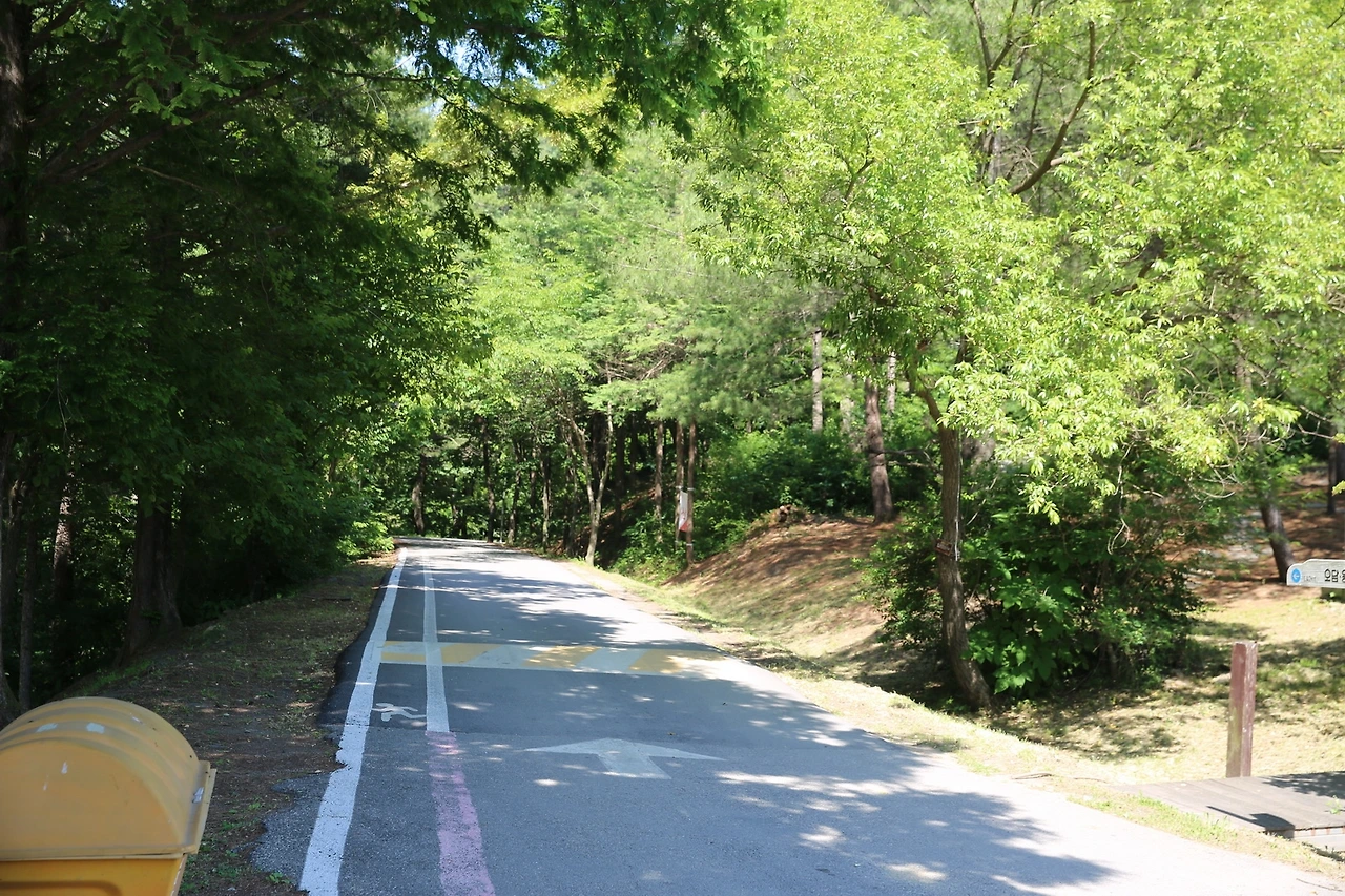 MG0A7937_новый размер.JPG