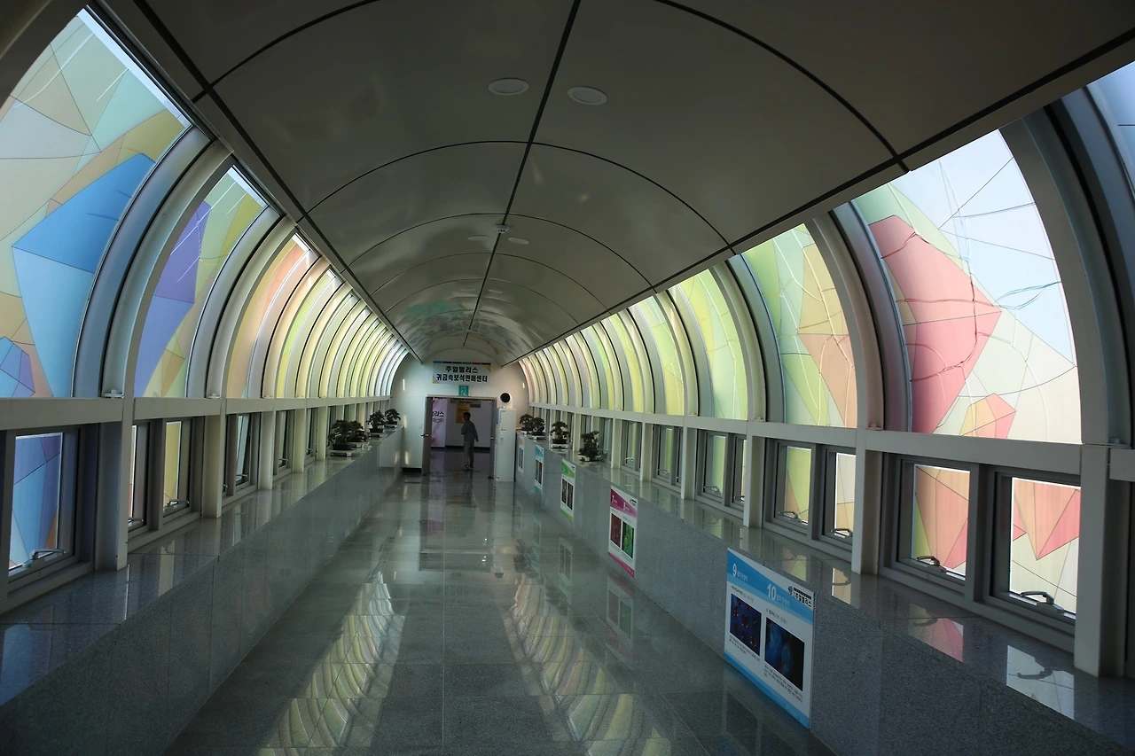 MG0A8662_новый размер.JPG