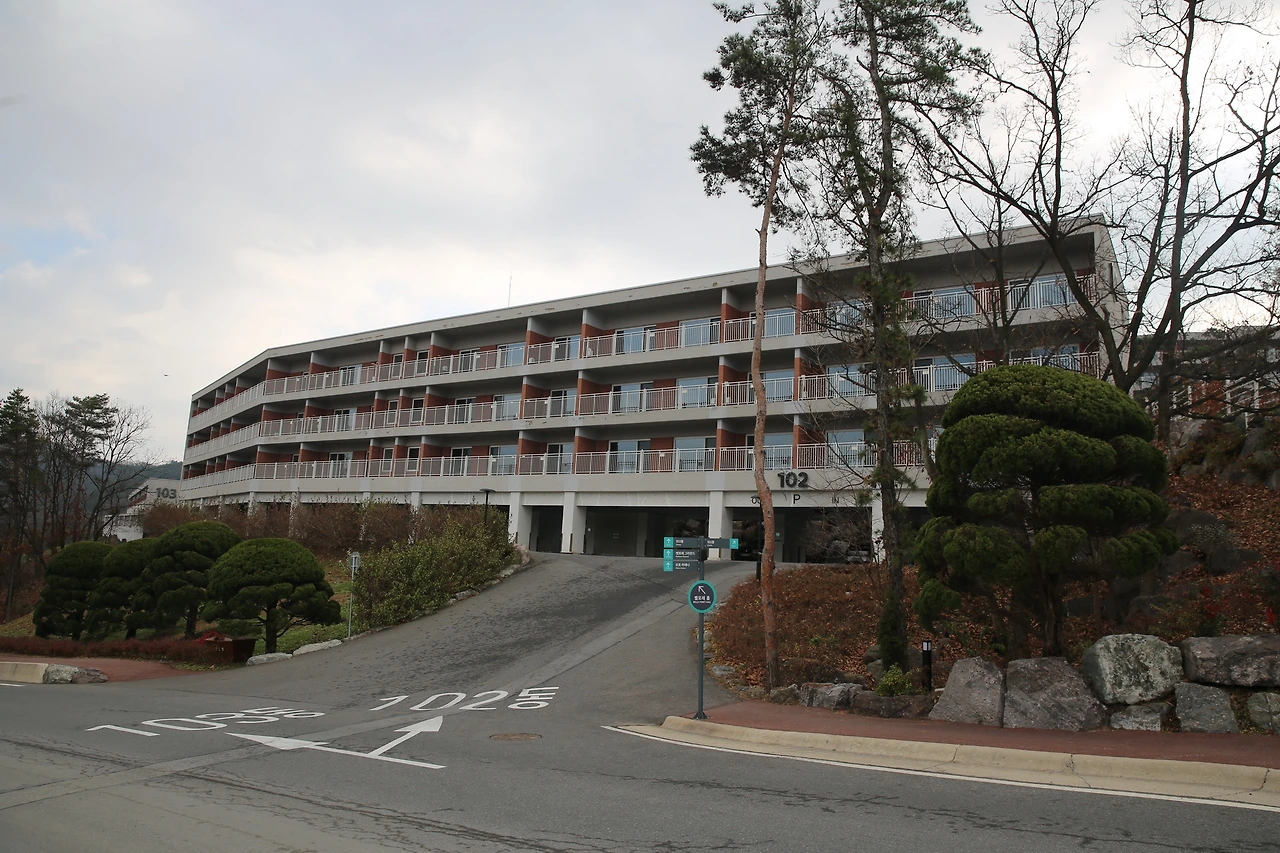 MG0A3105_новый размер.JPG