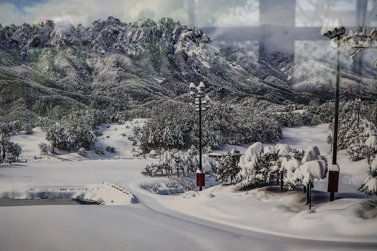 0R5A0840_новый размер.JPG