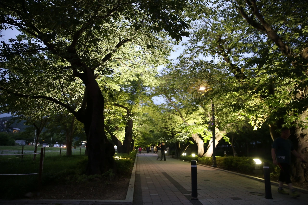 MG0A5588_новый размер.JPG