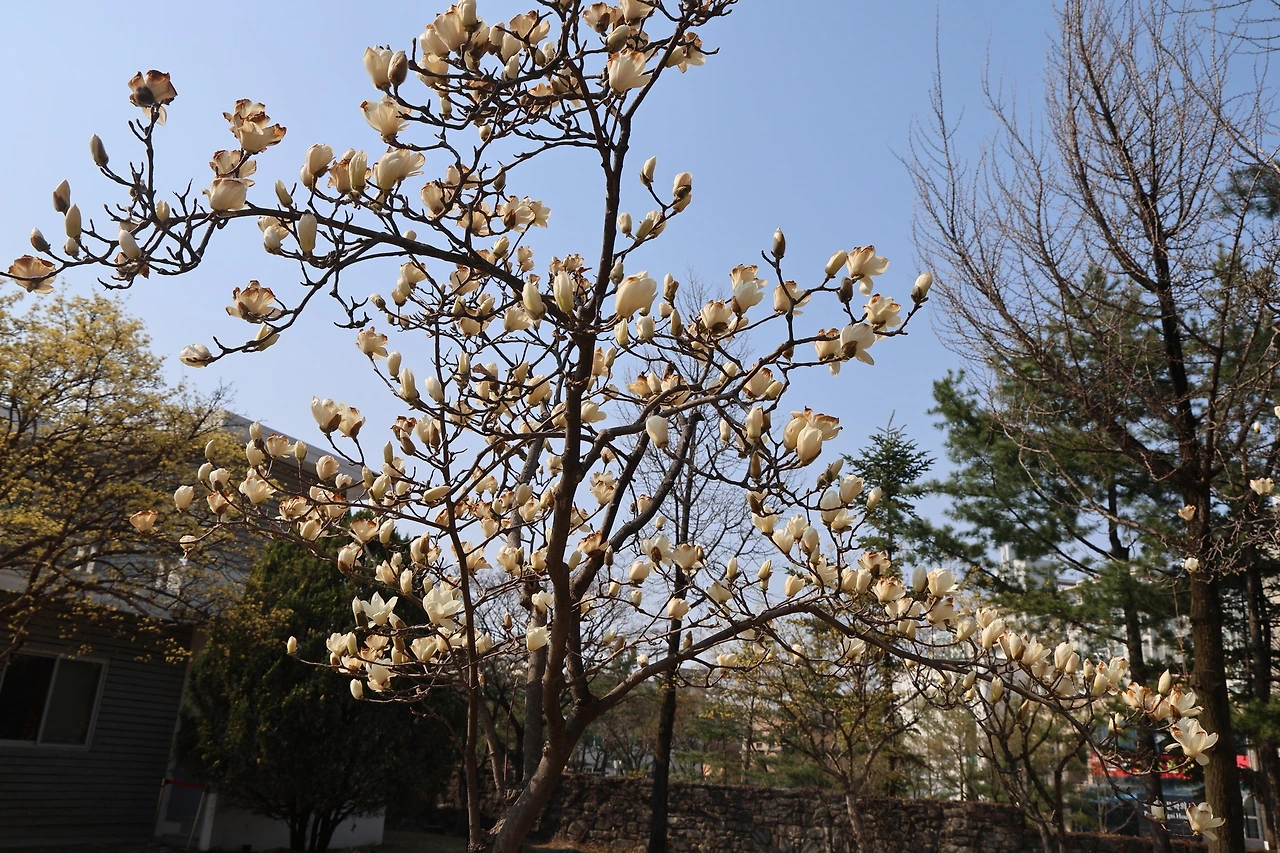 0R5A5496_новый размер.JPG