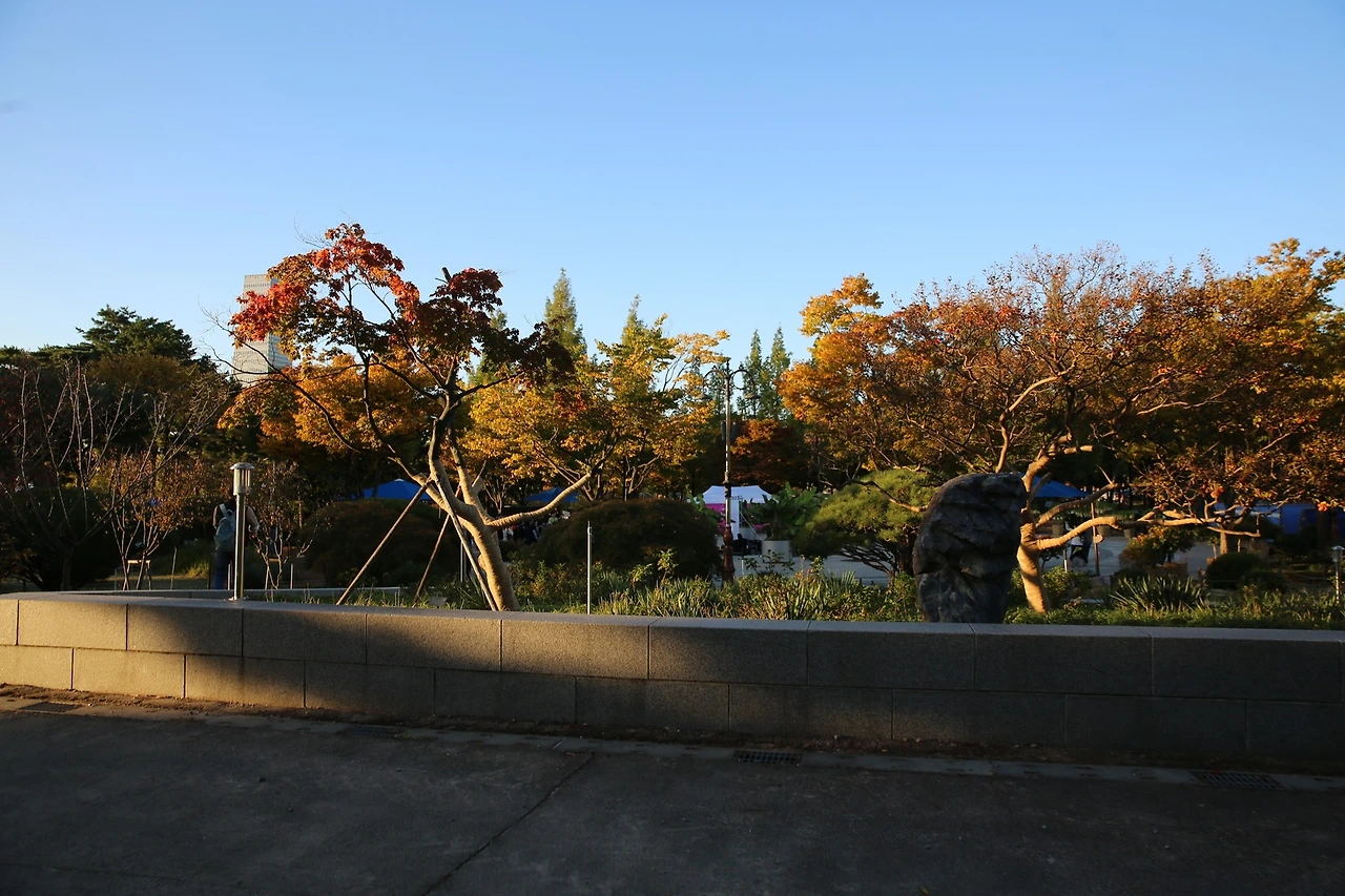 MG0A7204_новый размер.JPG