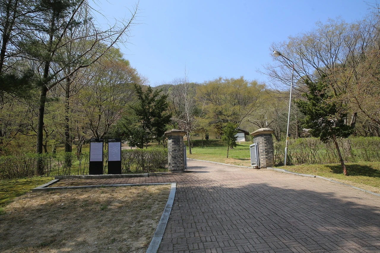 MG0A8628_новый размер.JPG