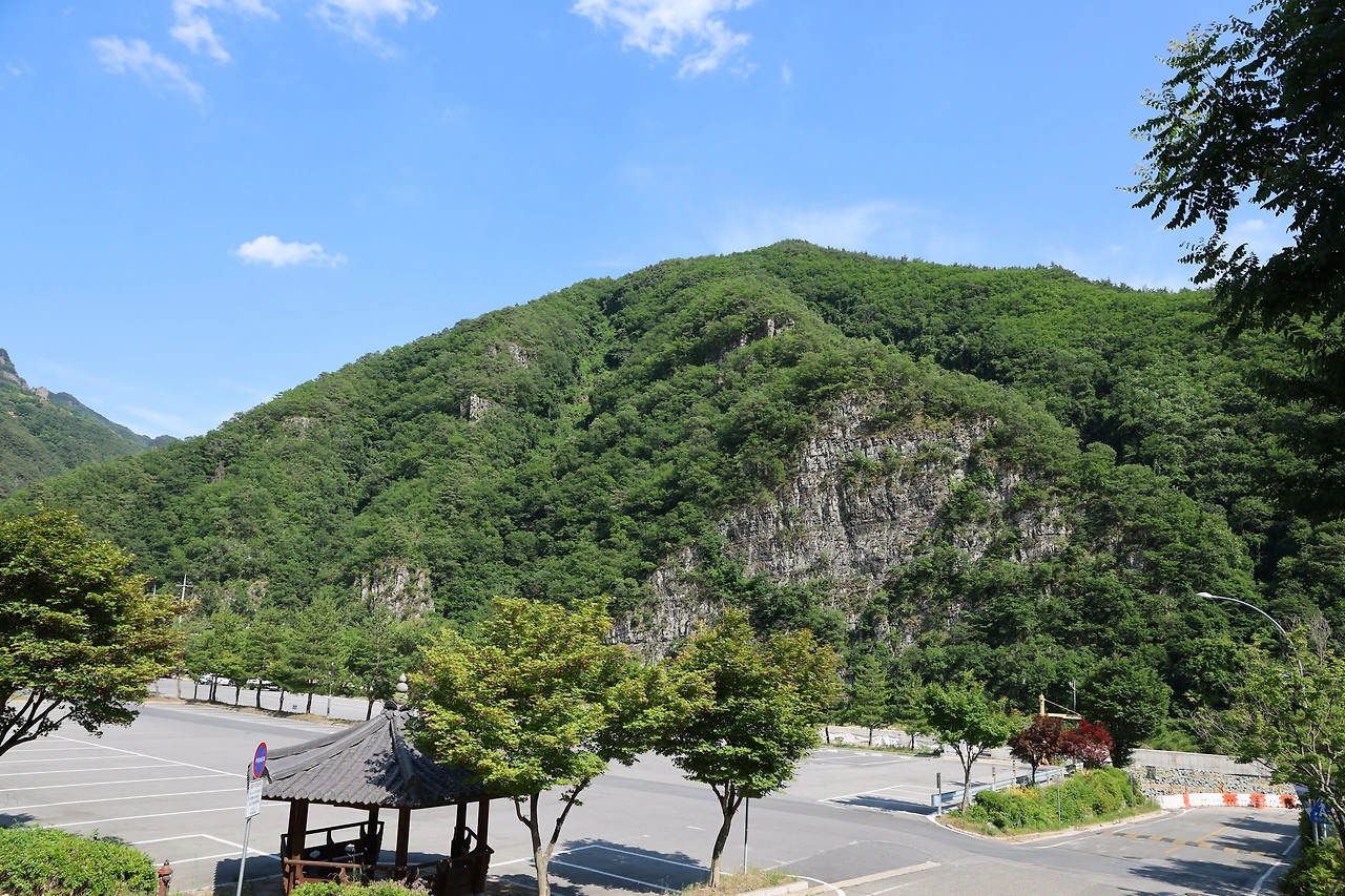 0R5A5349_новый размер.JPG