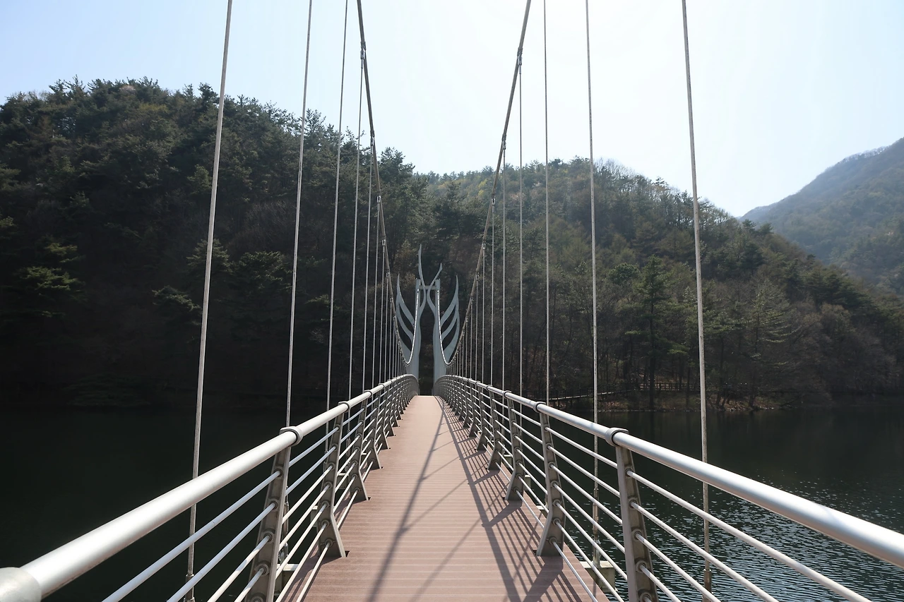 0R5A6481_новый размер.JPG