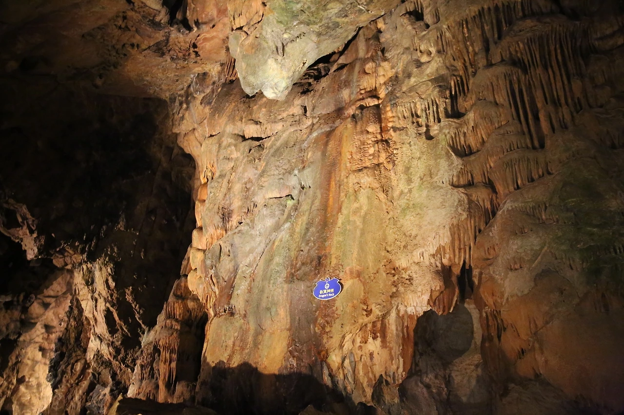 MG0A9733_новый размер.JPG